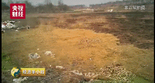央视曝光成都市双流区“垃圾坑”问题后 当地连夜整