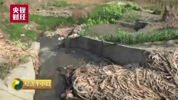 央视曝光成都市双流区“垃圾坑”问题后 当地连夜整